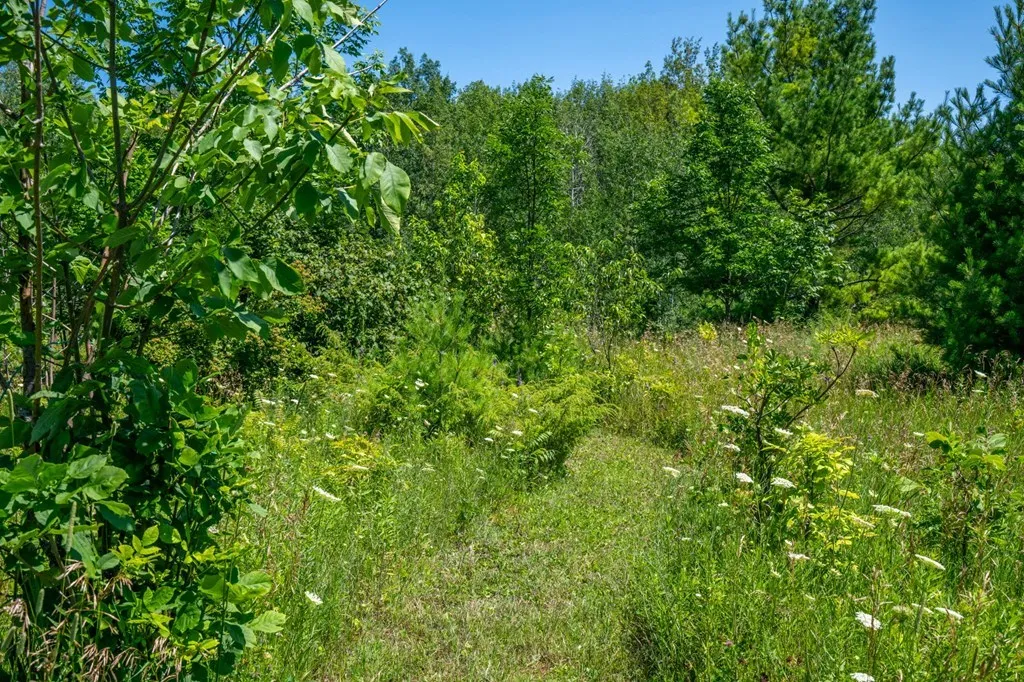 Lot Beach Rd, Sister Bay, Wisconsin 54234, ,Unimproved Land,For Sale,Beach Rd,144472
