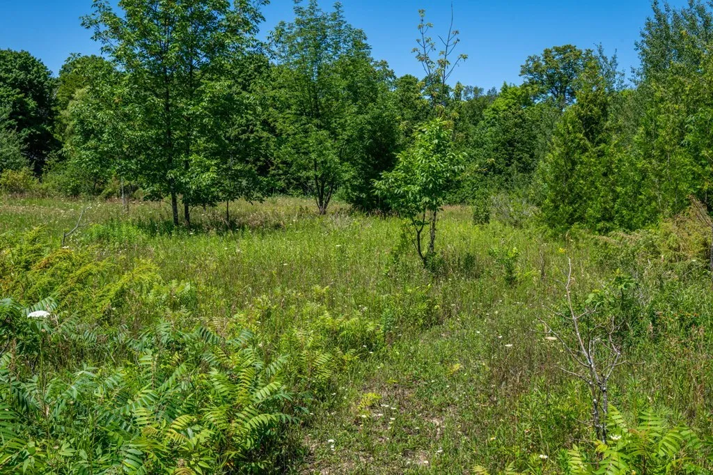 Lot Beach Rd, Sister Bay, Wisconsin 54234, ,Unimproved Land,For Sale,Beach Rd,144472