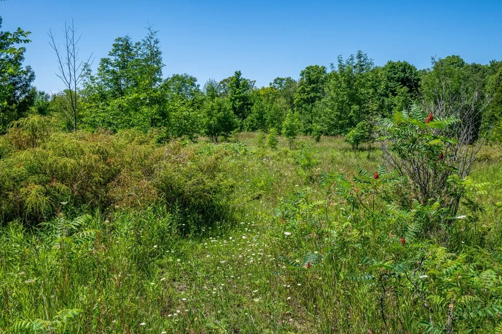 Lot Beach Rd, Sister Bay, Wisconsin 54234, ,Unimproved Land,For Sale,Beach Rd,144472