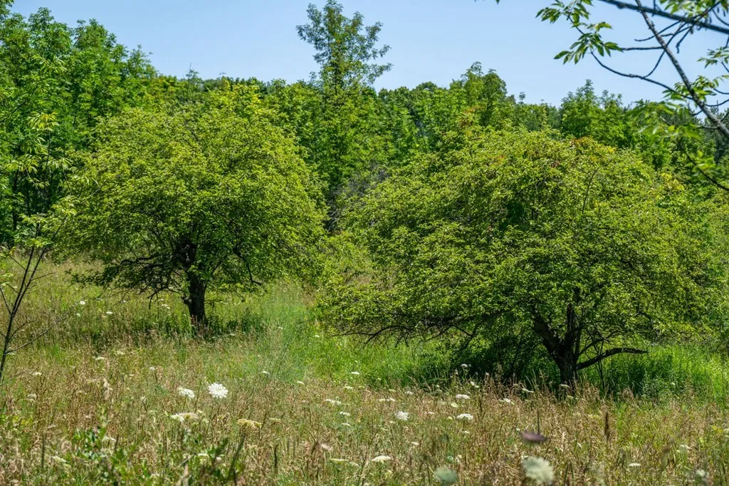 Lot Beach Rd, Sister Bay, Wisconsin 54234, ,Unimproved Land,For Sale,Beach Rd,144472