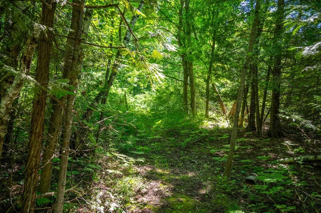 Lot Beach Rd, Sister Bay, Wisconsin 54234, ,Unimproved Land,For Sale,Beach Rd,144472