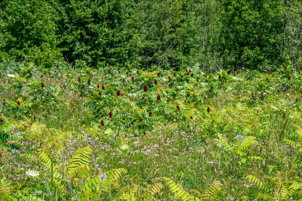 Lot Beach Rd, Sister Bay, Wisconsin 54234, ,Unimproved Land,For Sale,Beach Rd,144472