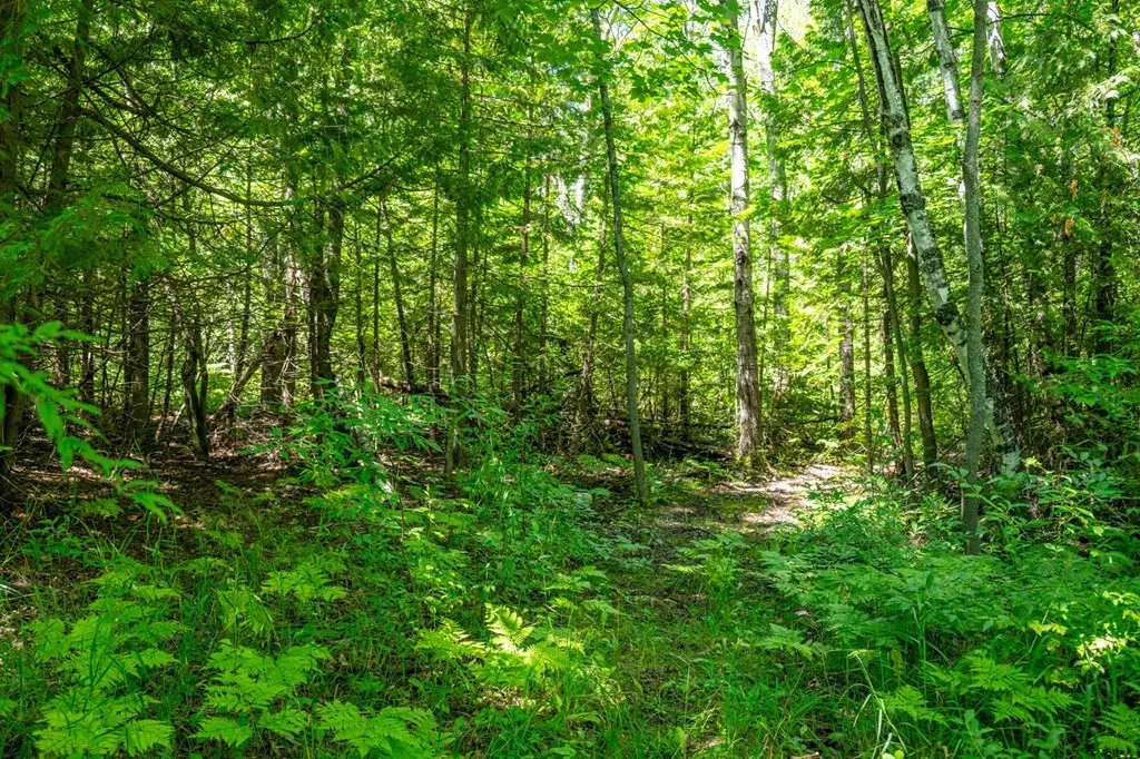 Lot Beach Rd, Sister Bay, Wisconsin 54234, ,Unimproved Land,For Sale,Beach Rd,144472