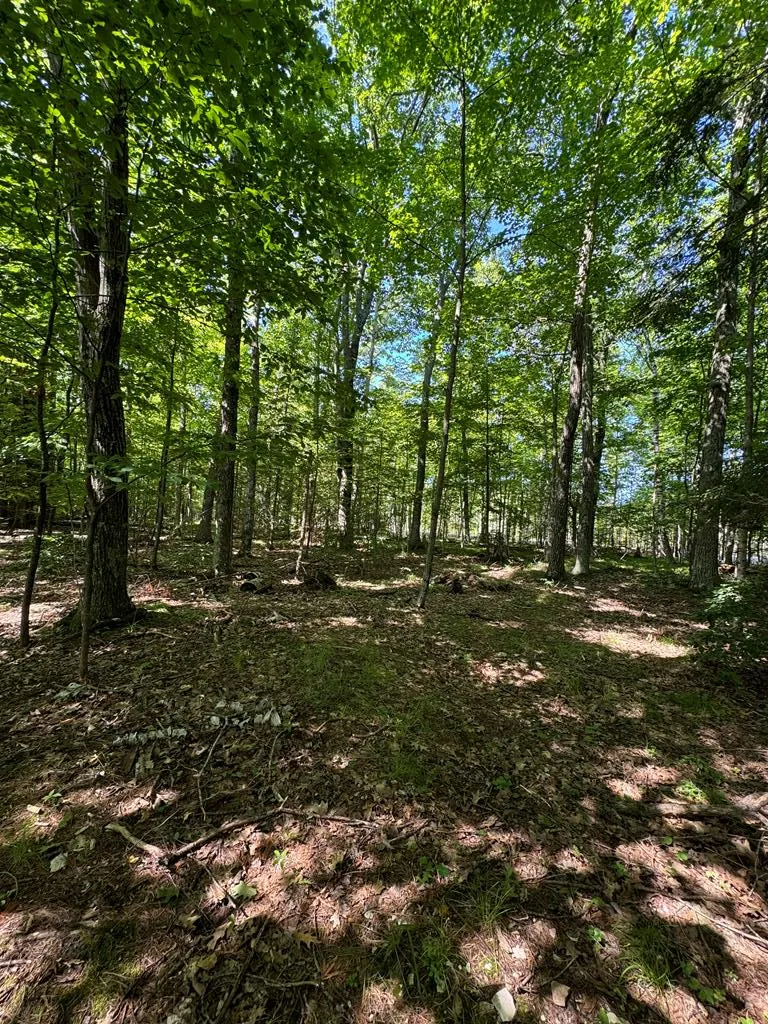 #17 Choke Cherry Ln, Fish Creek Wi 54212, ,Condominium,For Sale,Eagle Ledge Ln,142950