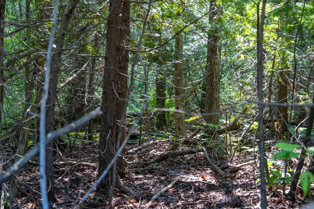 Lot 5 Mill Rd, Sister Bay, Wisconsin 54234, ,Unimproved Land,For Sale,Mill Rd,144343