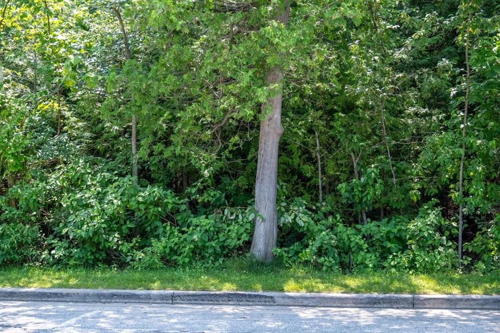 Lot 5 Mill Rd, Sister Bay, Wisconsin 54234, ,Unimproved Land,For Sale,Mill Rd,144343