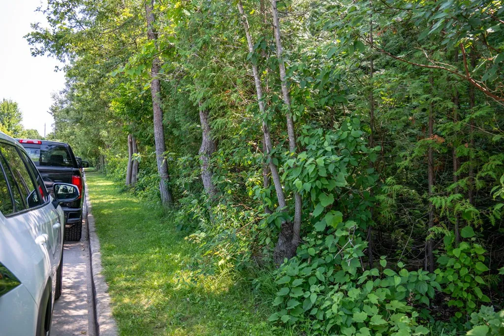 Lot 5 Mill Rd, Sister Bay, Wisconsin 54234, ,Unimproved Land,For Sale,Mill Rd,144343