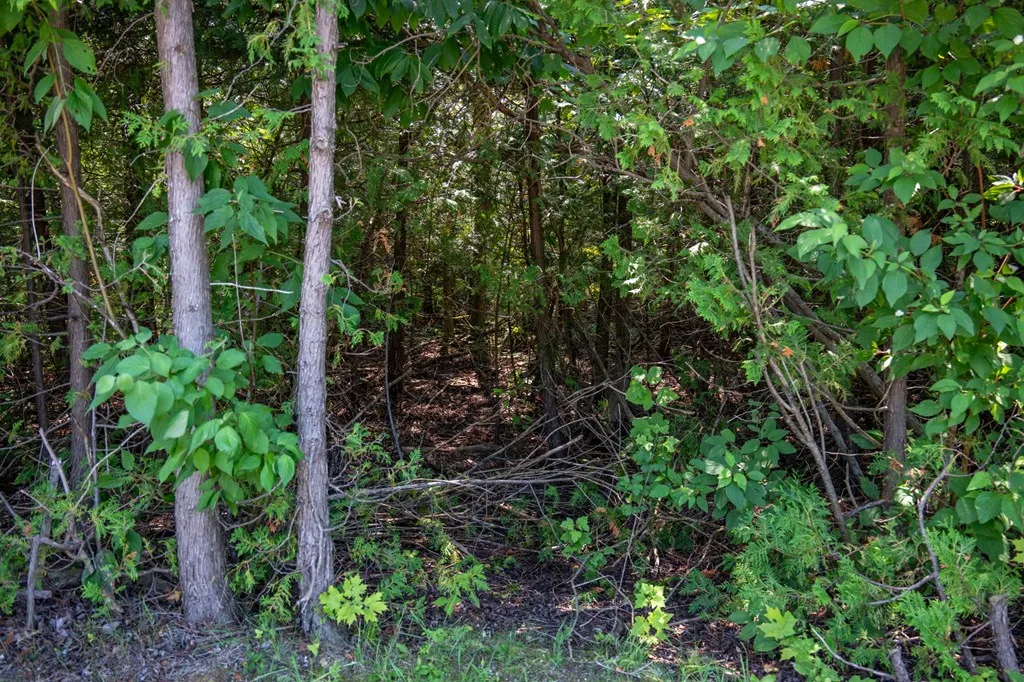 Lot 5 Mill Rd, Sister Bay, Wisconsin 54234, ,Unimproved Land,For Sale,Mill Rd,144343