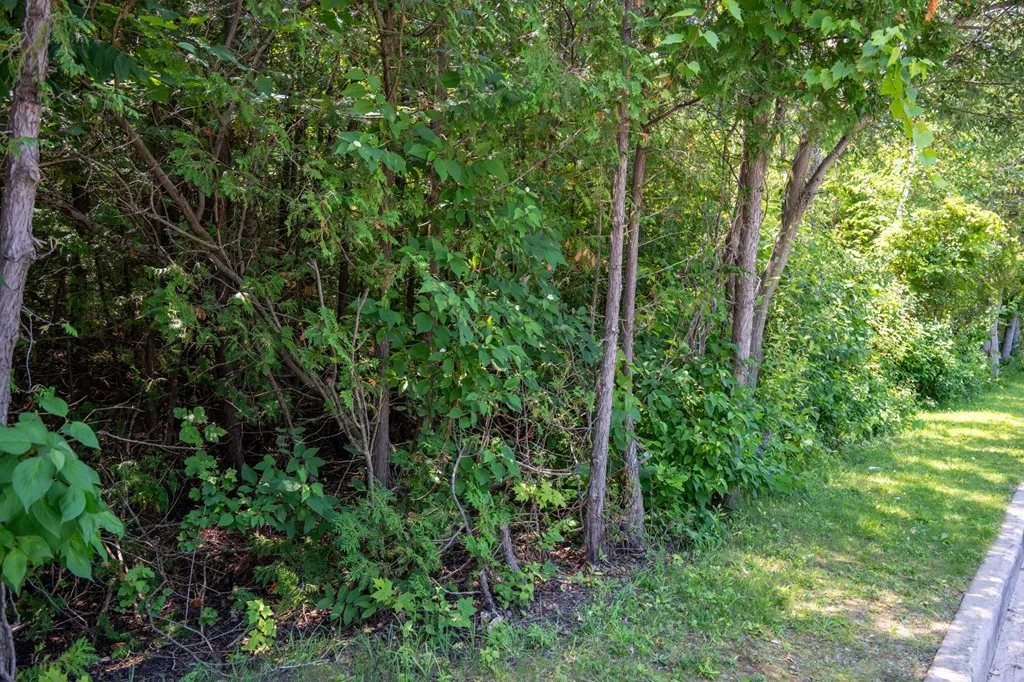 Lot 5 Mill Rd, Sister Bay, Wisconsin 54234, ,Unimproved Land,For Sale,Mill Rd,144343