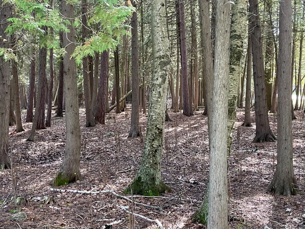 County Rd M, Sturgeon Bay Wi 54235, ,Unimproved Land,For Sale,County Rd M,143305