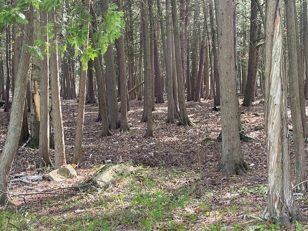 County Rd M, Sturgeon Bay Wi 54235, ,Unimproved Land,For Sale,County Rd M,143305