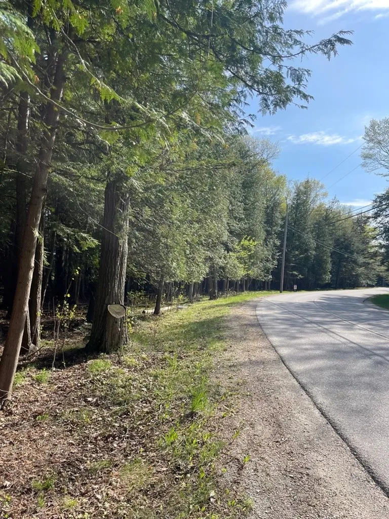 County Rd M, Sturgeon Bay Wi 54235, ,Unimproved Land,For Sale,County Rd M,143305