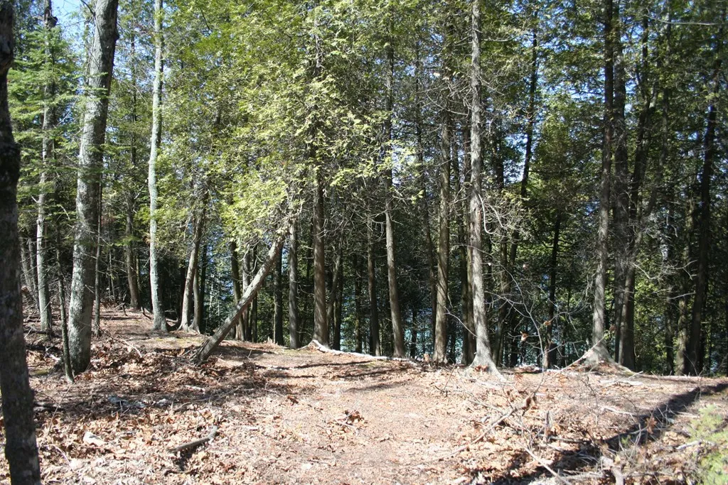 Tbd Boyers Bluff Rd, Washington Island, Wisconsin 54246, ,Unimproved Land,For Sale,Boyers Bluff Rd,144024