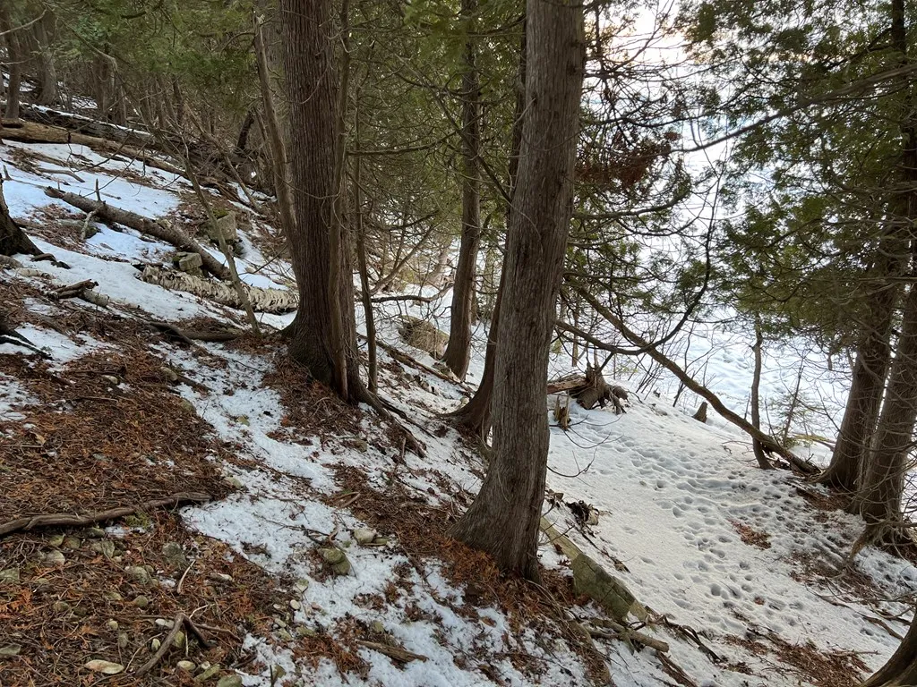 Tbd Boyers Bluff Rd, Washington Island, Wisconsin 54246, ,Unimproved Land,For Sale,Boyers Bluff Rd,144024