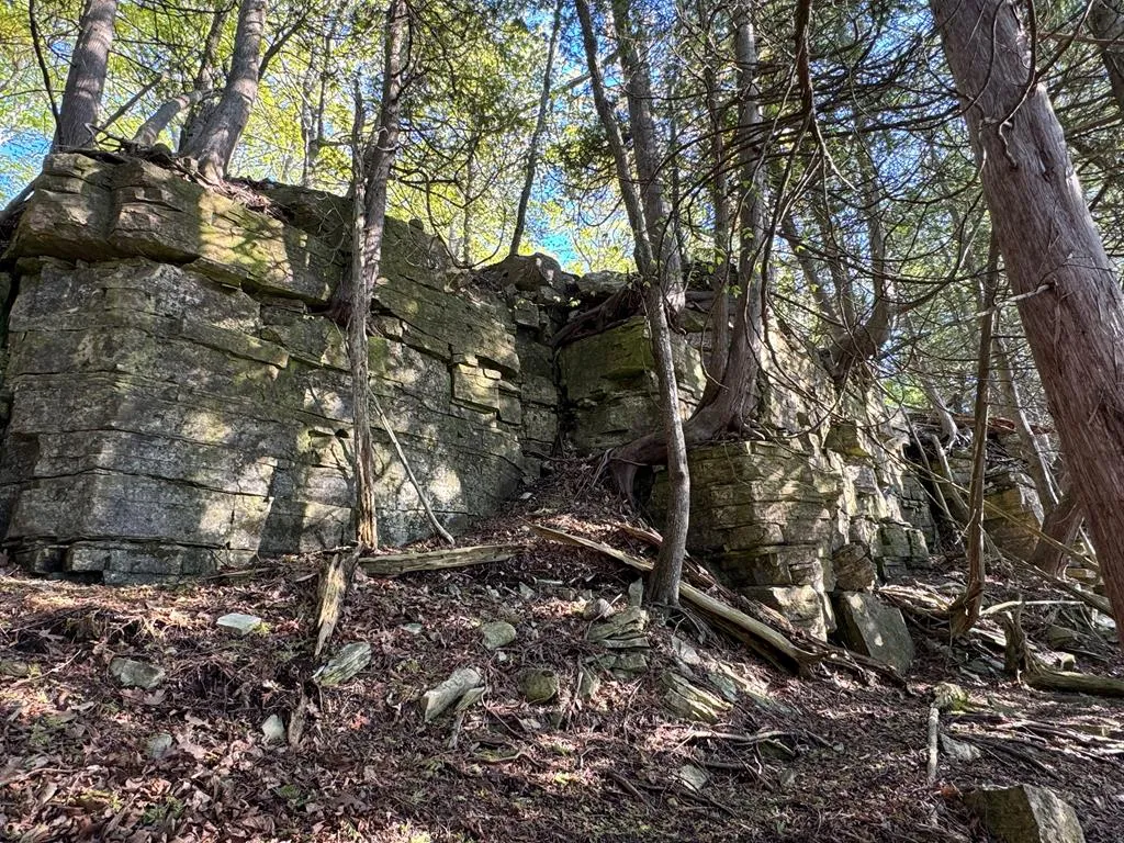 Tbd Boyers Bluff Rd, Washington Island, Wisconsin 54246, ,Unimproved Land,For Sale,Boyers Bluff Rd,144024