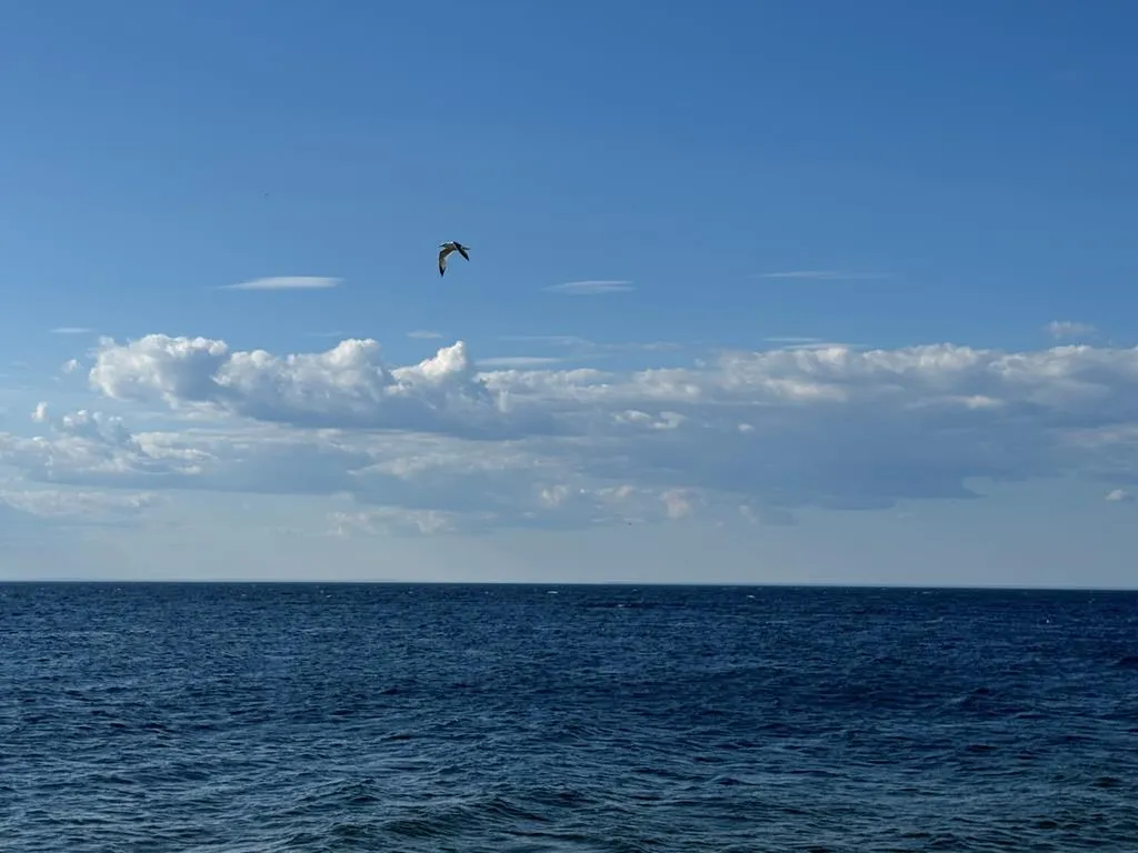 Tbd Boyers Bluff Rd, Washington Island, Wisconsin 54246, ,Unimproved Land,For Sale,Boyers Bluff Rd,144024