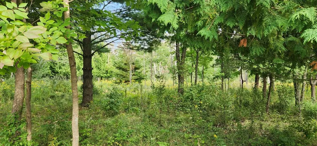10406 N Orchard St, Ephraim, Wisconsin 54211, 3 Bedrooms Bedrooms, ,2 BathroomsBathrooms,Inland-Residential,For Sale,N Orchard Rd,144535