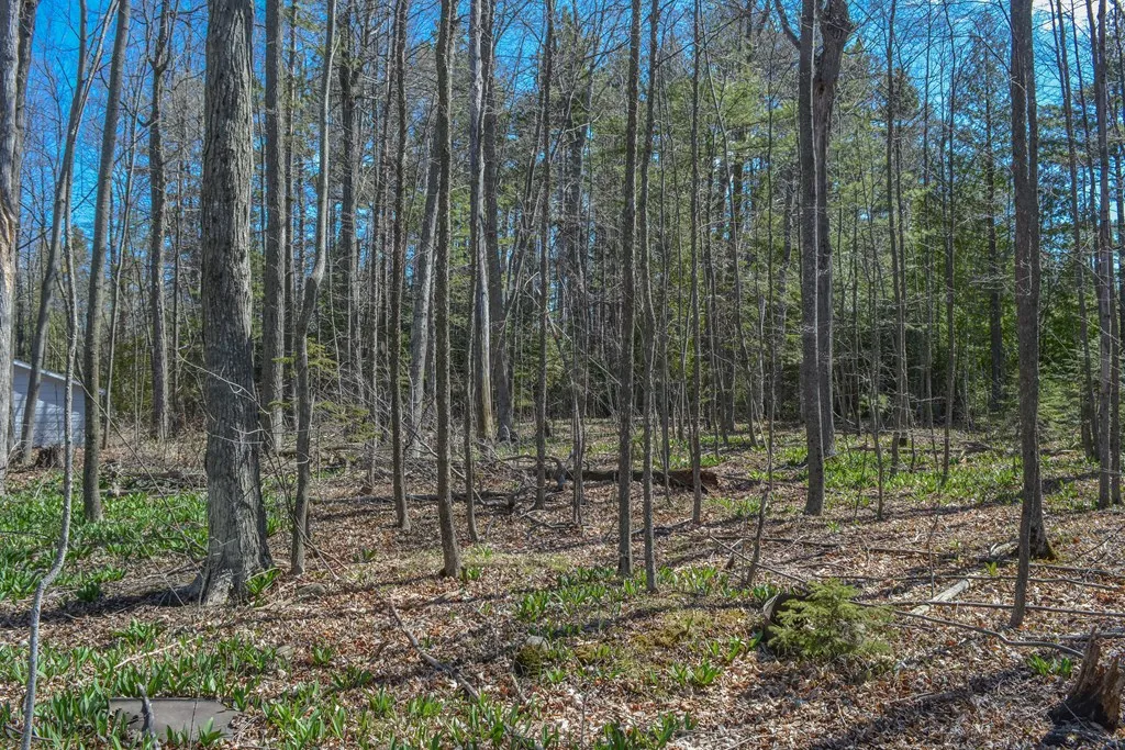12397 Garrett Bay Rd, Ellison Bay Wi 54210, 2 Bedrooms Bedrooms, ,1 BathroomBathrooms,Inland-Residential,For Sale,Garrett Bay Rd,141574