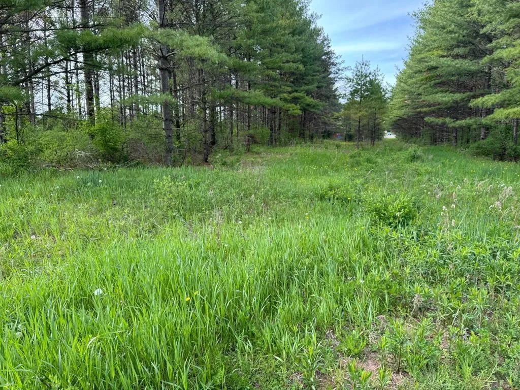 W Town Line Rd, Sturgeon Bay, Wisconsin 54235, ,Unimproved Land,For Sale,W Town Line Rd,143988