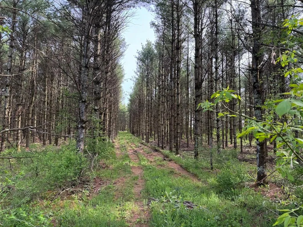 W Town Line Rd, Sturgeon Bay, Wisconsin 54235, ,Unimproved Land,For Sale,W Town Line Rd,143988