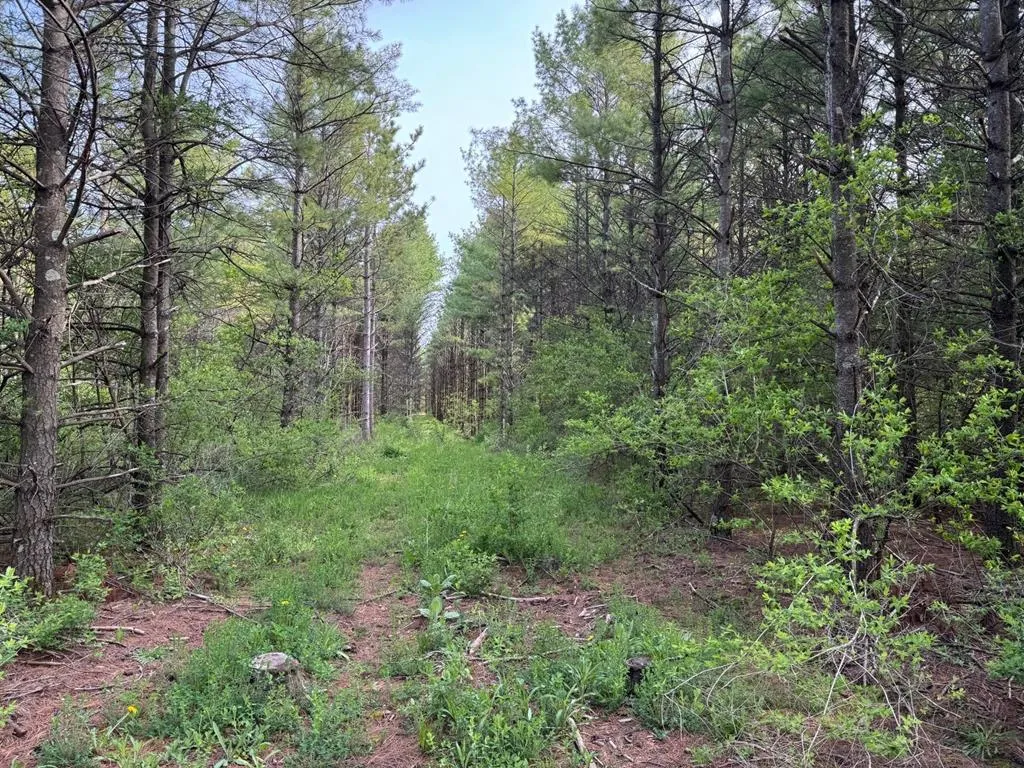 W Town Line Rd, Sturgeon Bay, Wisconsin 54235, ,Unimproved Land,For Sale,W Town Line Rd,143988