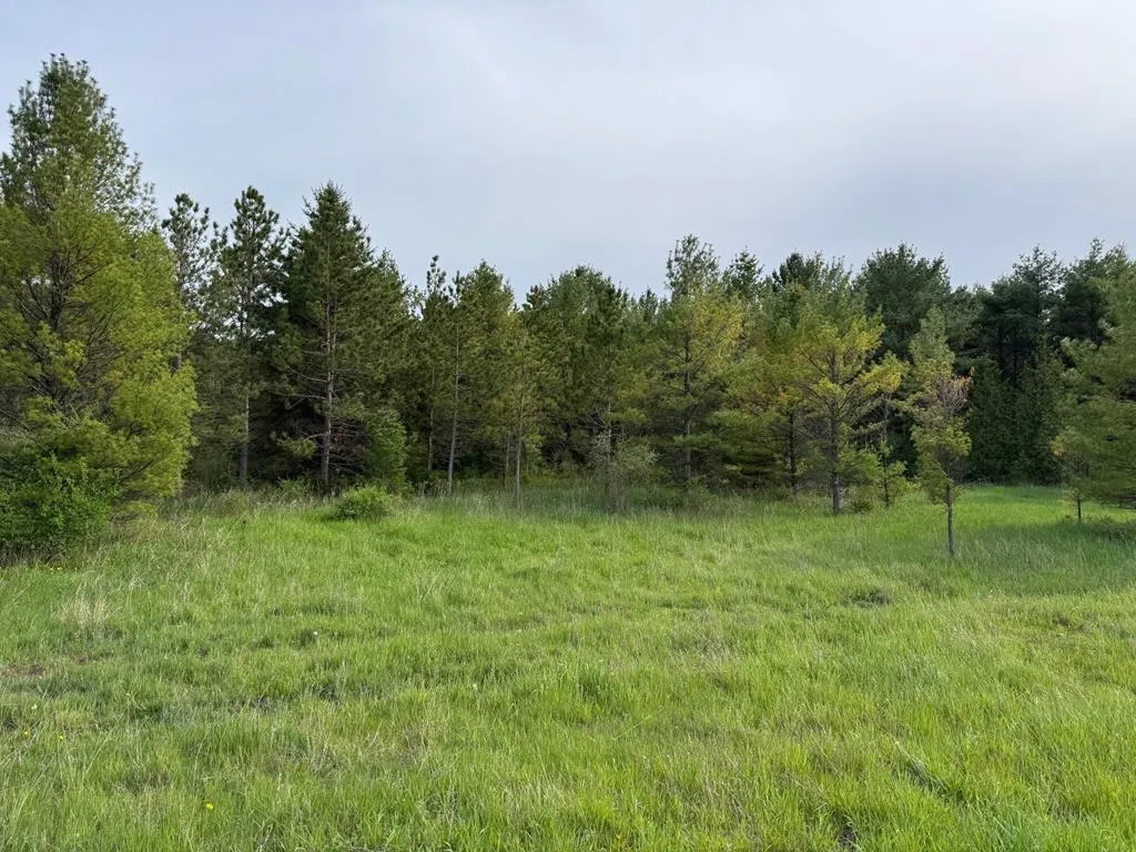 W Town Line Rd, Sturgeon Bay, Wisconsin 54235, ,Unimproved Land,For Sale,W Town Line Rd,143988