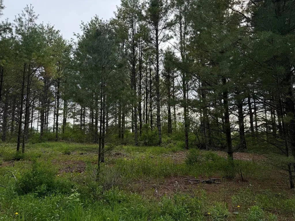 W Town Line Rd, Sturgeon Bay, Wisconsin 54235, ,Unimproved Land,For Sale,W Town Line Rd,143988