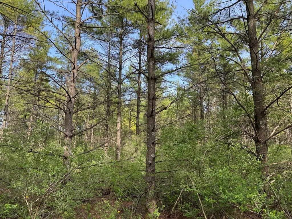 W Town Line Rd, Sturgeon Bay, Wisconsin 54235, ,Unimproved Land,For Sale,W Town Line Rd,143988