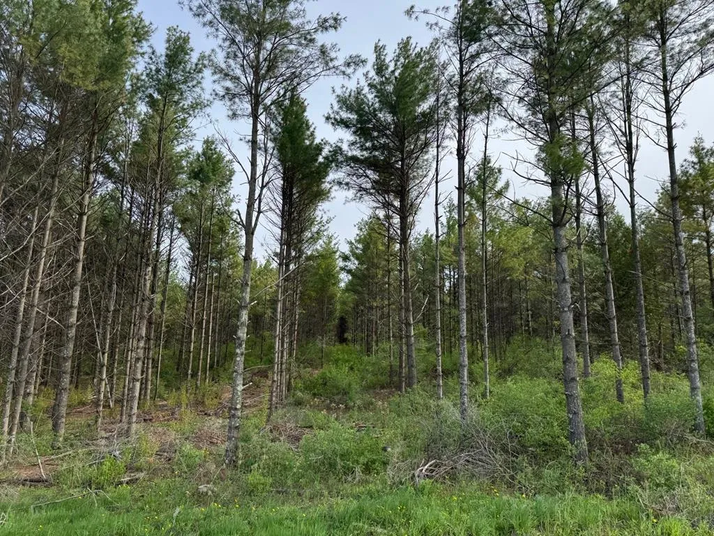 W Town Line Rd, Sturgeon Bay, Wisconsin 54235, ,Unimproved Land,For Sale,W Town Line Rd,143988