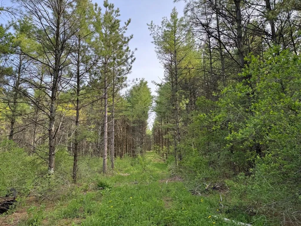 W Town Line Rd, Sturgeon Bay, Wisconsin 54235, ,Unimproved Land,For Sale,W Town Line Rd,143988