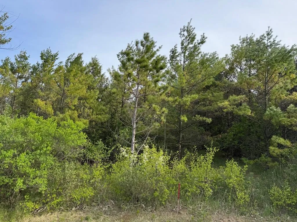 W Town Line Rd, Sturgeon Bay, Wisconsin 54235, ,Unimproved Land,For Sale,W Town Line Rd,143988