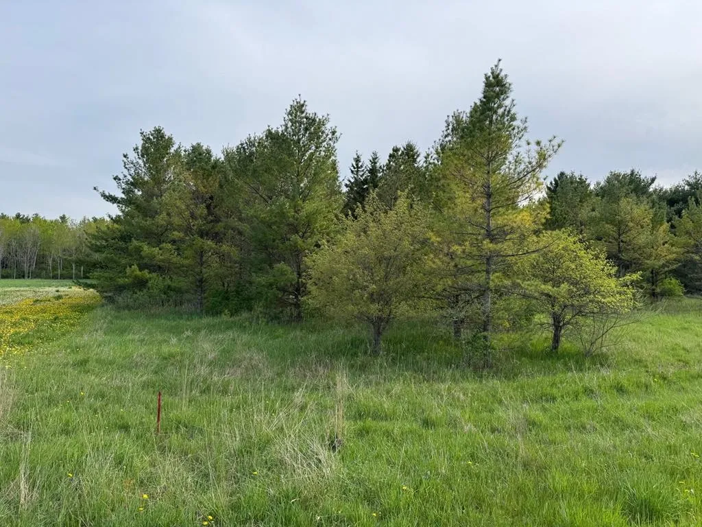 W Town Line Rd, Sturgeon Bay, Wisconsin 54235, ,Unimproved Land,For Sale,W Town Line Rd,143988