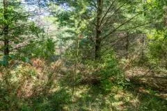 Lots Scandia Rd, Sister Bay, Wisconsin 54234, ,Unimproved Land,For Sale,Scandia Rd,144398