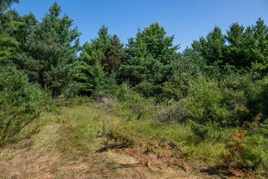 Lots Scandia Rd, Sister Bay, Wisconsin 54234, ,Unimproved Land,For Sale,Scandia Rd,144398