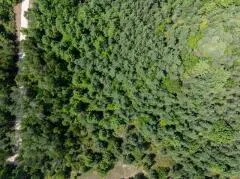 Lots Scandia Rd, Sister Bay, Wisconsin 54234, ,Unimproved Land,For Sale,Scandia Rd,144398