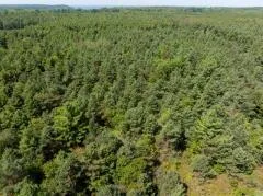 Lots Scandia Rd, Sister Bay, Wisconsin 54234, ,Unimproved Land,For Sale,Scandia Rd,144398