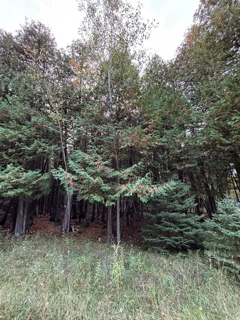 Lot 2 Sleepy Hollow Dr, Sturgeon Bay Wi 54235, ,Unimproved Land,For Sale,Sleepy Hollow Dr,141079