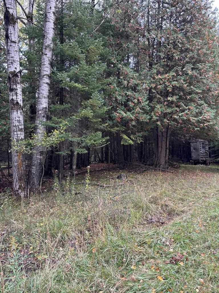 Lot 2 Sleepy Hollow Dr, Sturgeon Bay Wi 54235, ,Unimproved Land,For Sale,Sleepy Hollow Dr,141079