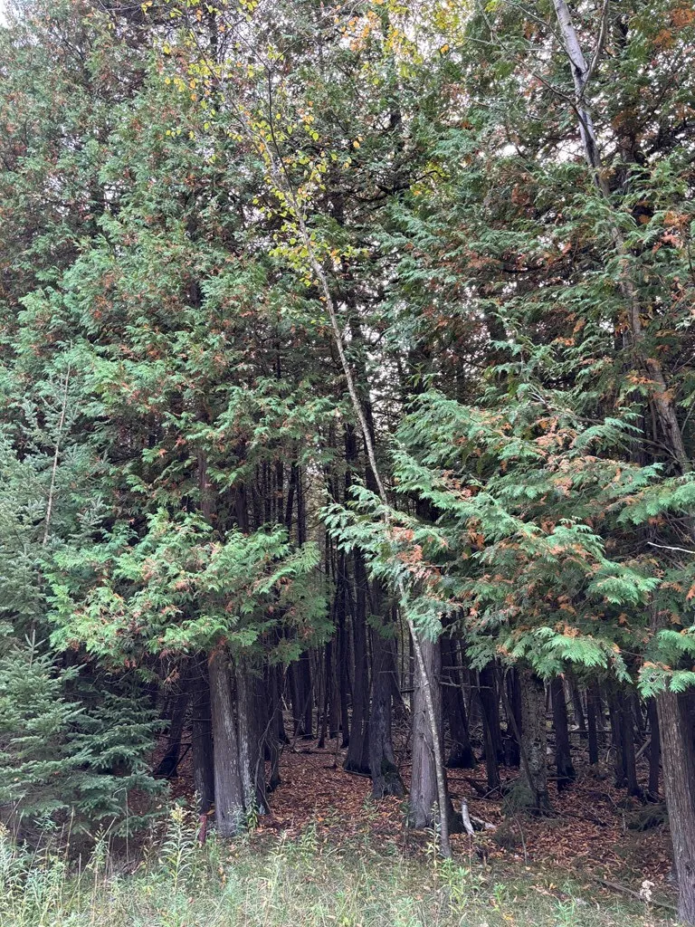 Lot 2 Sleepy Hollow Dr, Sturgeon Bay Wi 54235, ,Unimproved Land,For Sale,Sleepy Hollow Dr,141079
