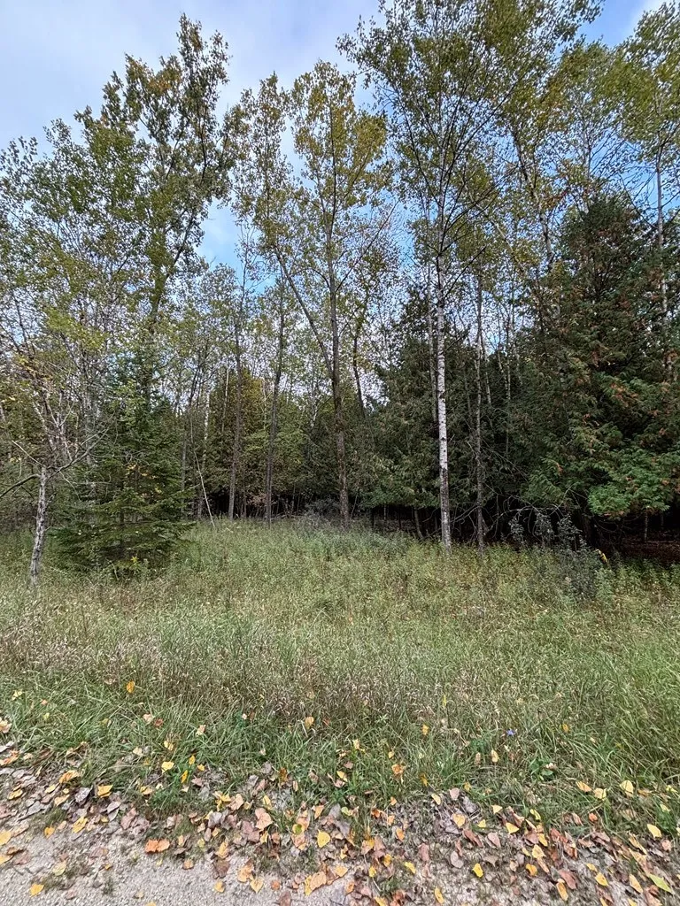Lot 2 Sleepy Hollow Dr, Sturgeon Bay Wi 54235, ,Unimproved Land,For Sale,Sleepy Hollow Dr,141079
