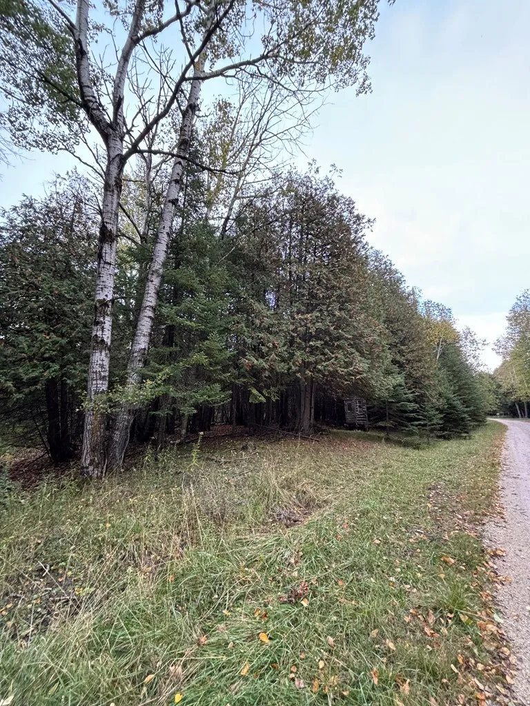 Lot 2 Sleepy Hollow Dr, Sturgeon Bay Wi 54235, ,Unimproved Land,For Sale,Sleepy Hollow Dr,141079