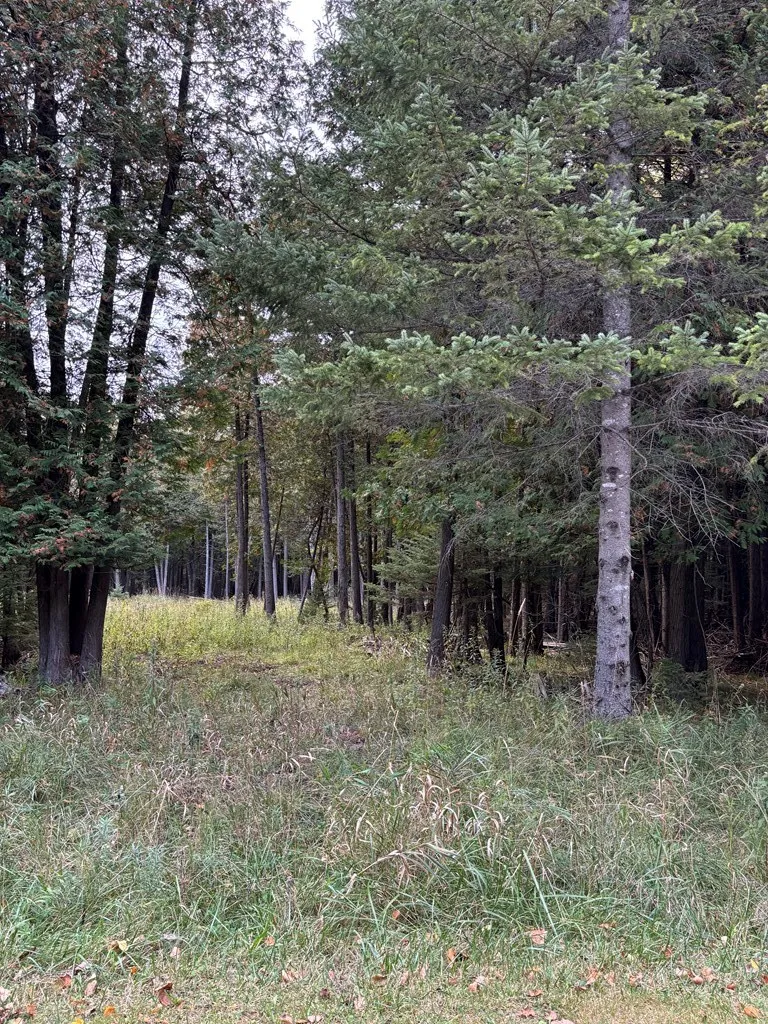 Lot 2 Sleepy Hollow Dr, Sturgeon Bay Wi 54235, ,Unimproved Land,For Sale,Sleepy Hollow Dr,141079