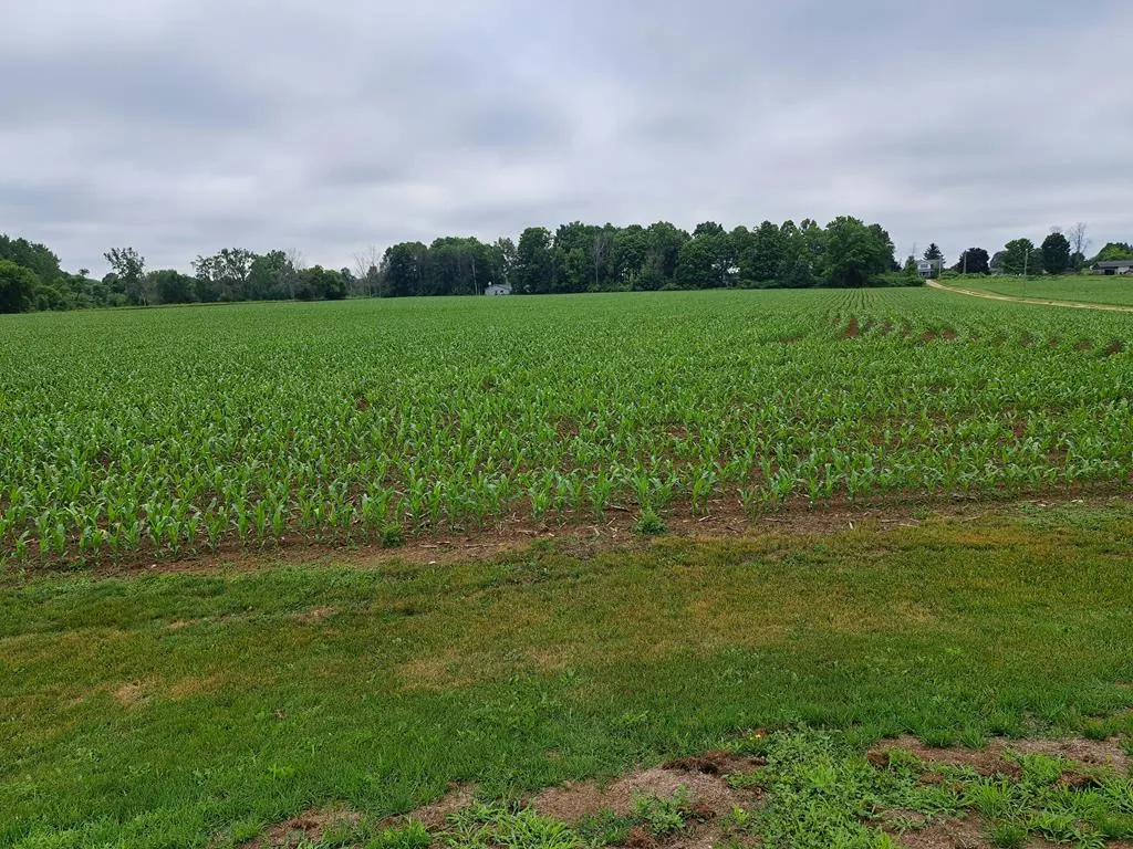 8754 County Rd C, Sturgeon Bay, Wisconsin 54235, 3 Bedrooms Bedrooms, ,1 BathroomBathrooms,Waterfront-Residential,For Sale,County Rd C,144183