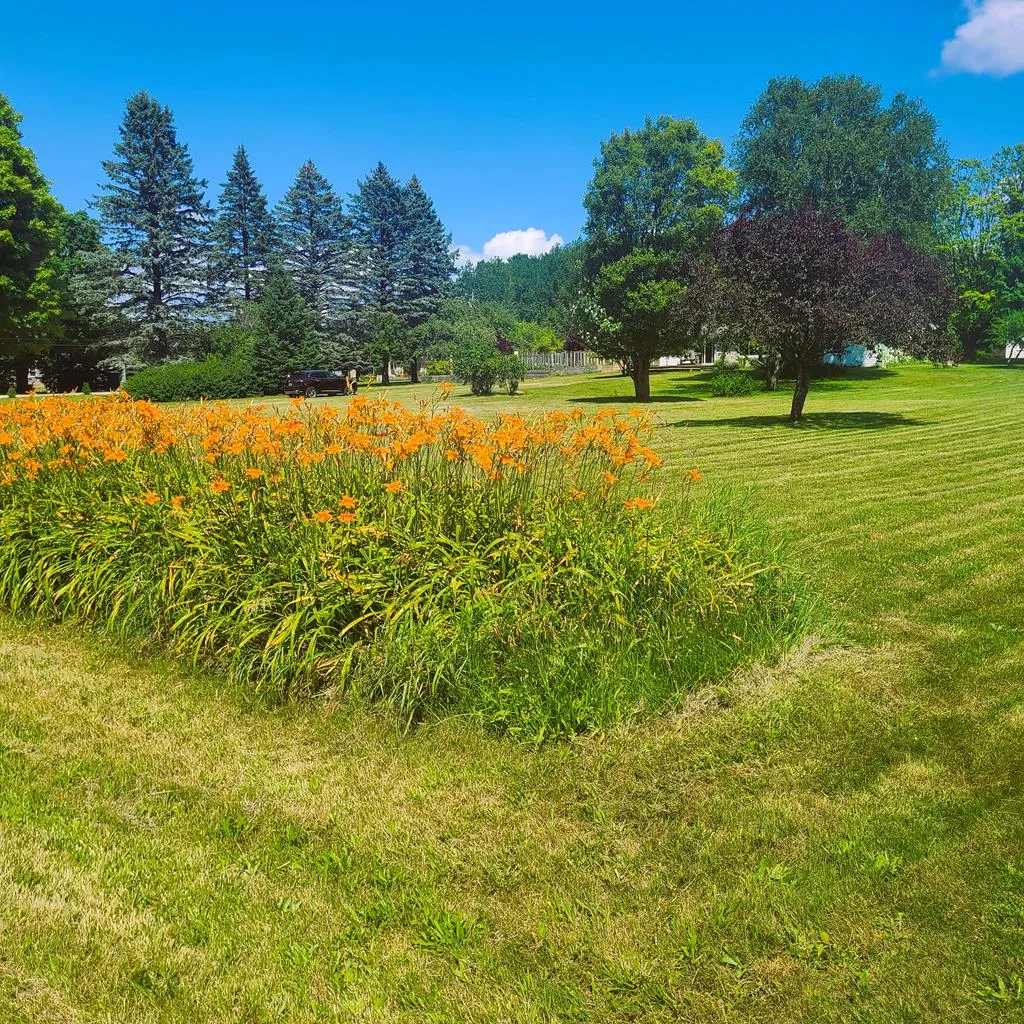 Tbd Cove Rd, Sturgeon Bay Wi 54235, ,Unimproved Land,For Sale,Cove Rd,142965