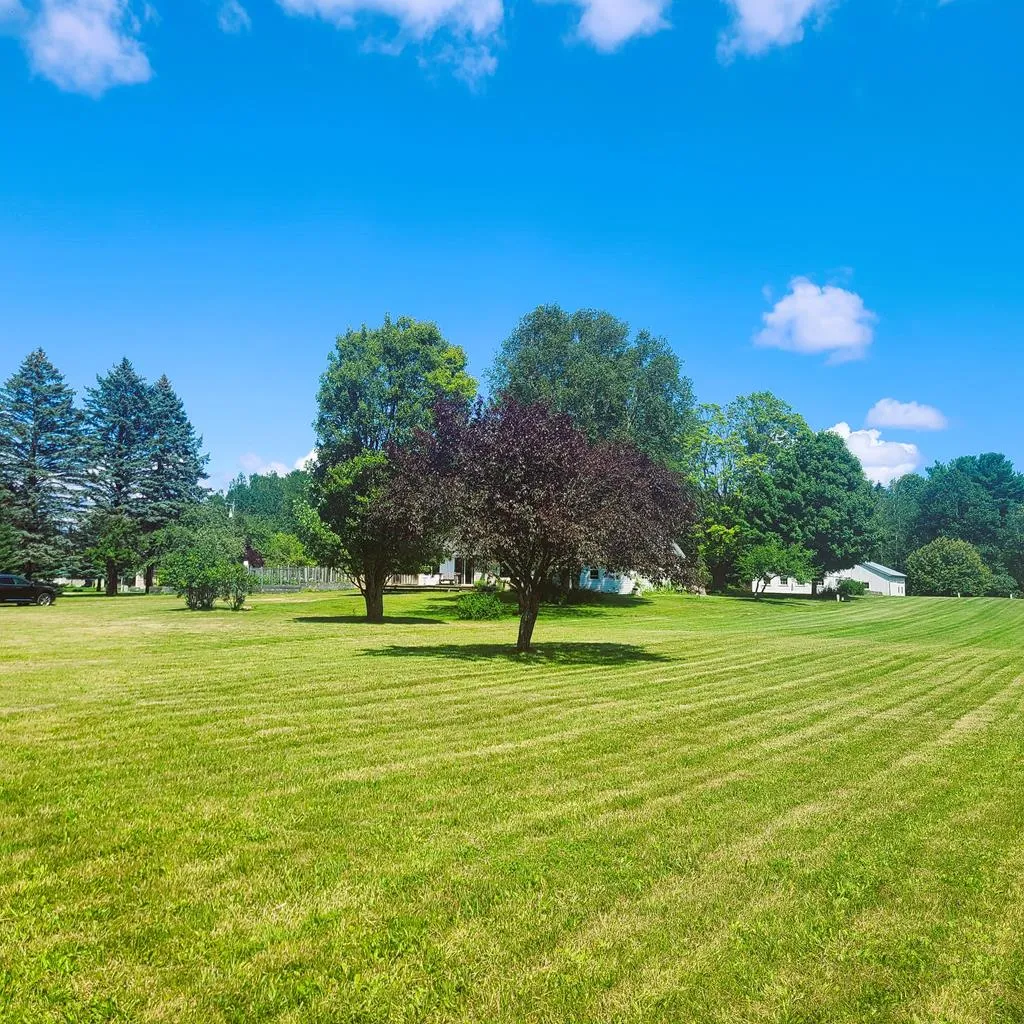 Tbd Cove Rd, Sturgeon Bay Wi 54235, ,Unimproved Land,For Sale,Cove Rd,142965