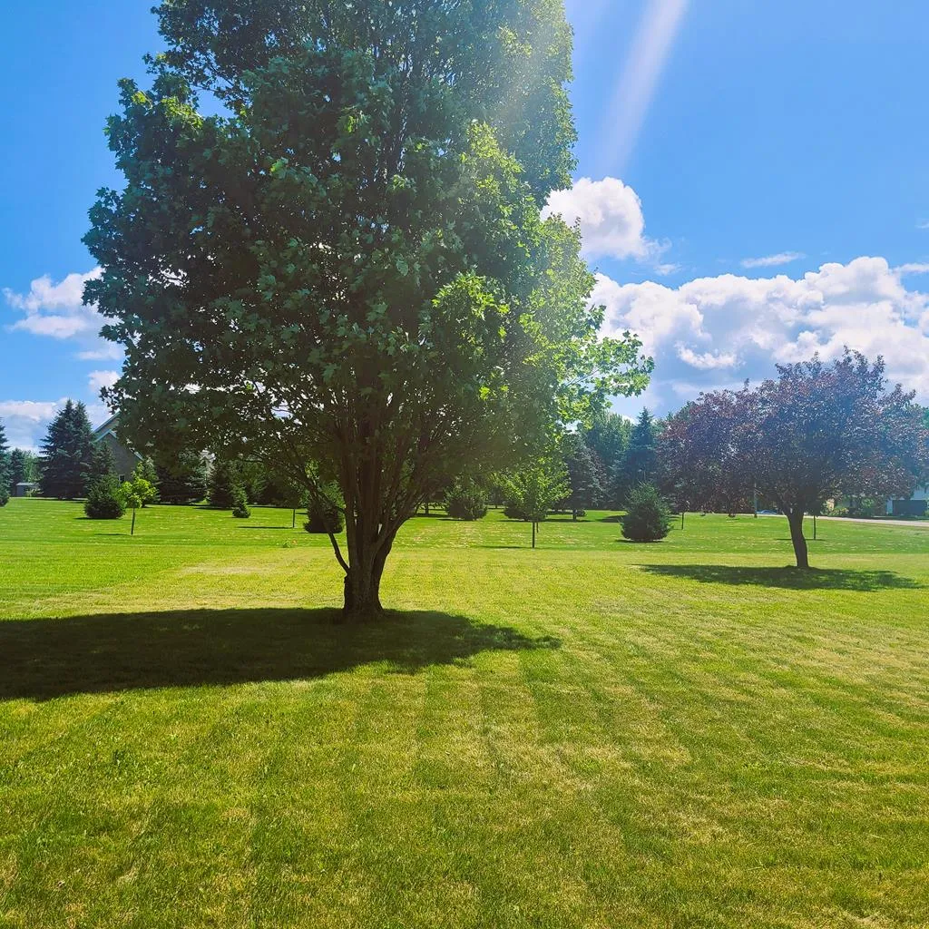 Tbd Cove Rd, Sturgeon Bay Wi 54235, ,Unimproved Land,For Sale,Cove Rd,142965