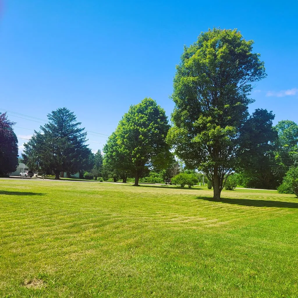 Tbd Cove Rd, Sturgeon Bay Wi 54235, ,Unimproved Land,For Sale,Cove Rd,142965