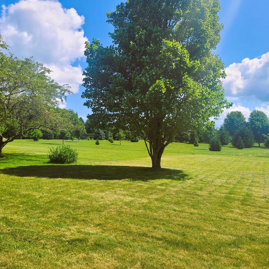 Tbd Cove Rd, Sturgeon Bay Wi 54235, ,Unimproved Land,For Sale,Cove Rd,142965