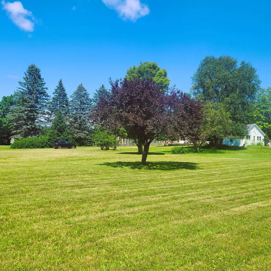 Tbd Cove Rd, Sturgeon Bay Wi 54235, ,Unimproved Land,For Sale,Cove Rd,142965