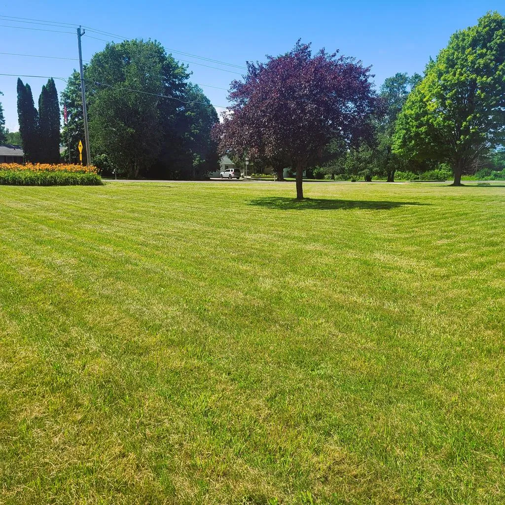 Tbd Cove Rd, Sturgeon Bay Wi 54235, ,Unimproved Land,For Sale,Cove Rd,142965